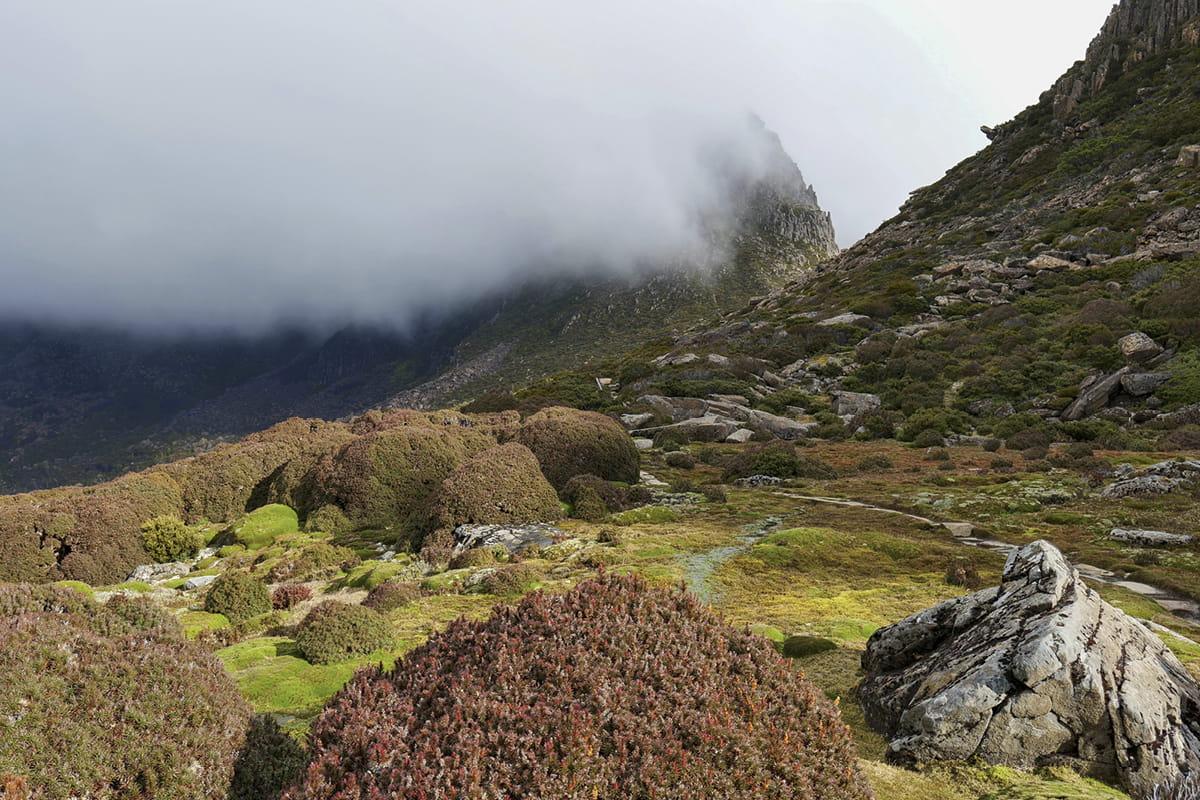 Tasmania's highlands