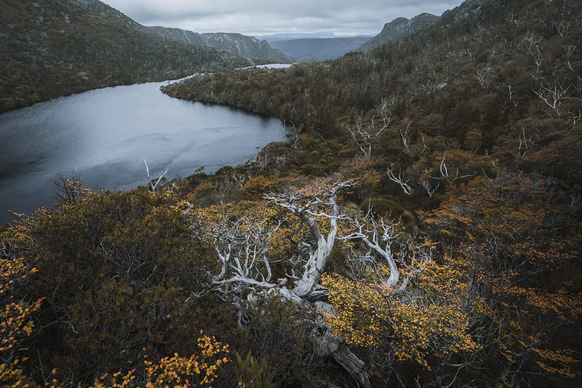 Tasmania's highlands