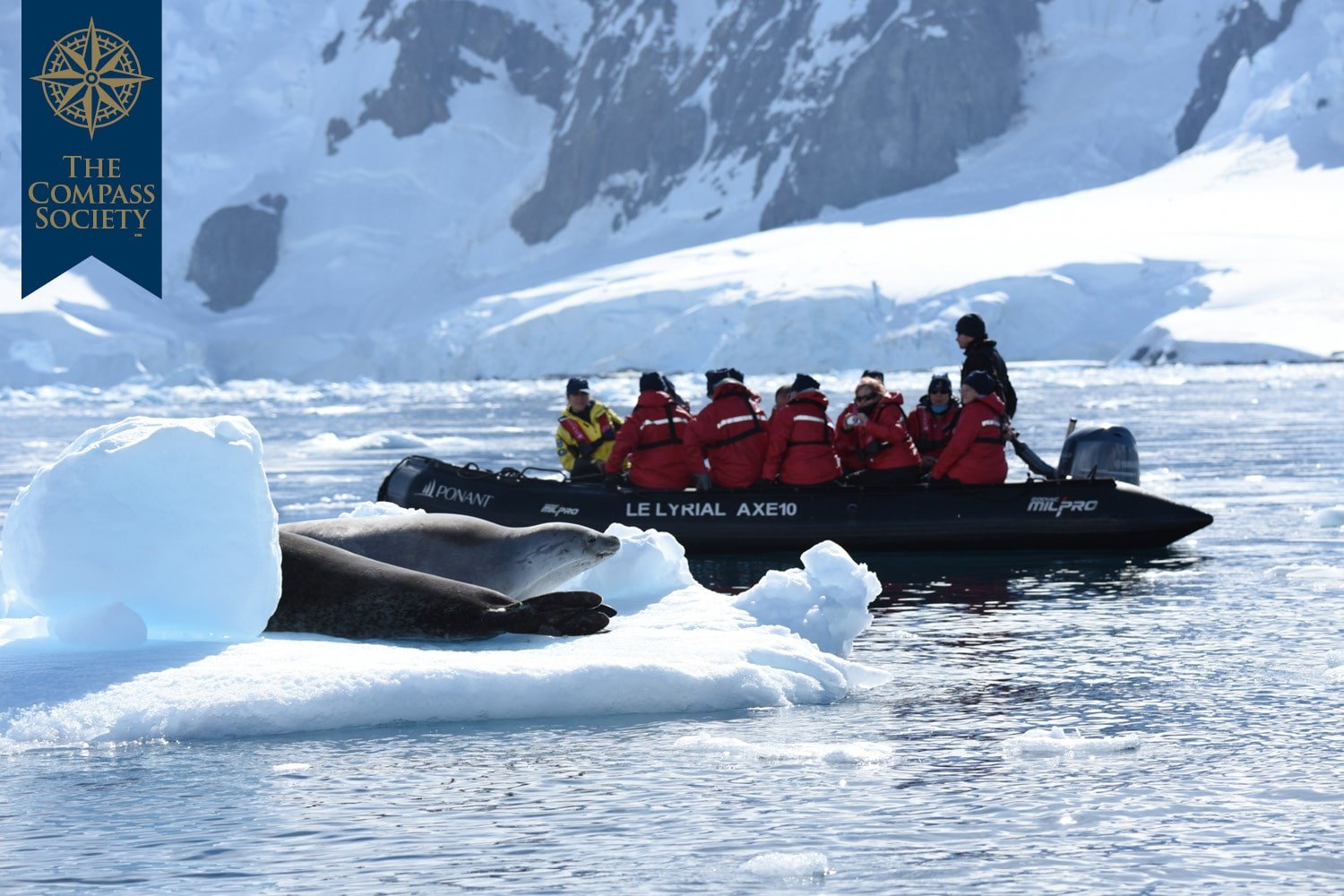 Antarctic and the Great South 2024 tour launch