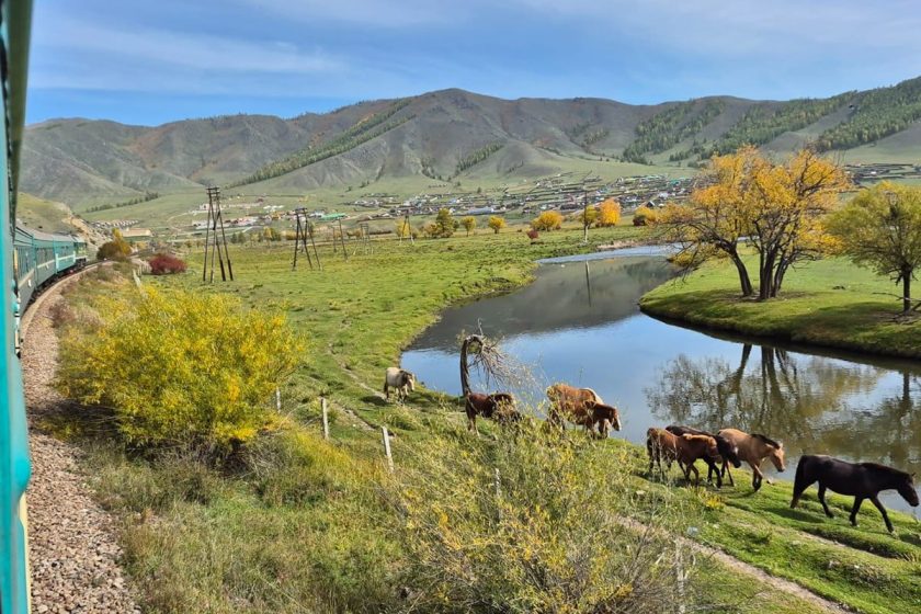 Photos from The Compass Society's Mongolia 2025 tour