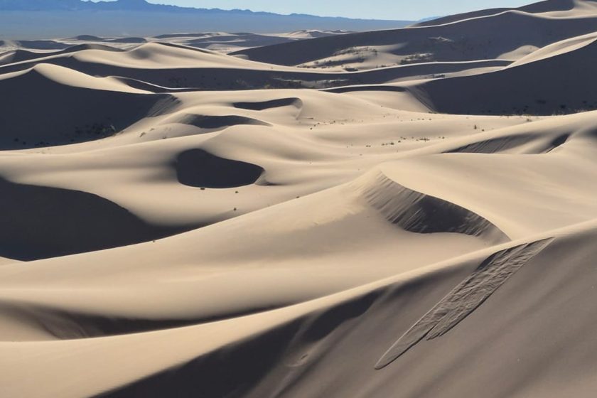 Photos from The Compass Society's Mongolia 2025 tour