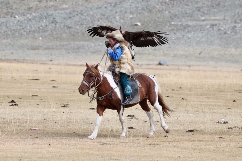 Photos from The Compass Society's Mongolia 2025 tour