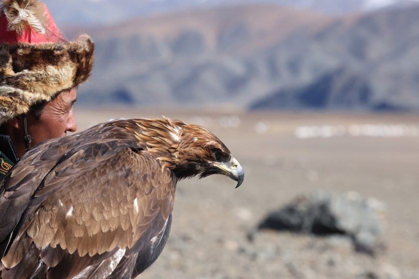 Photos from The Compass Society's Mongolia 2025 tour