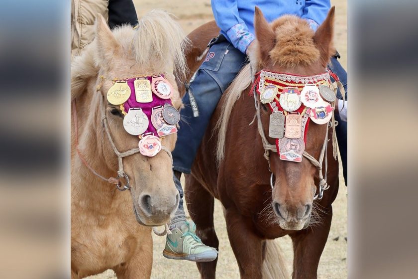 Photos from The Compass Society's Mongolia 2025 tour