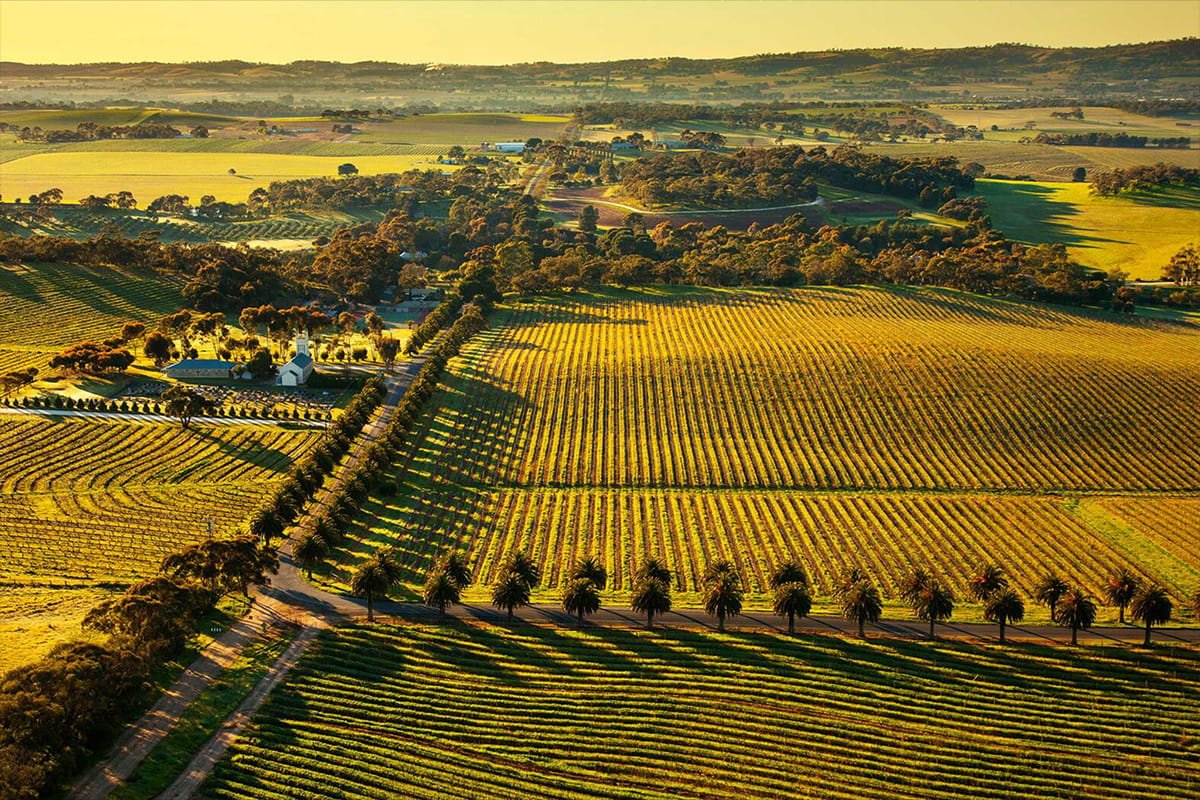 The Great Unknown - South Australia & Western Australia June 2026